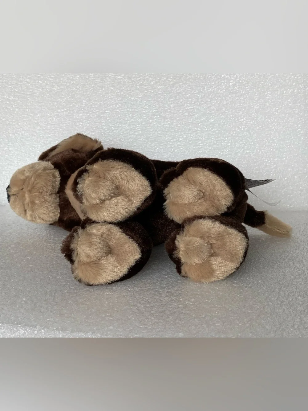 Ganz Webkinz MOCHA PUP Plush Toy DOG Stuffed Animal ~ NO CODE